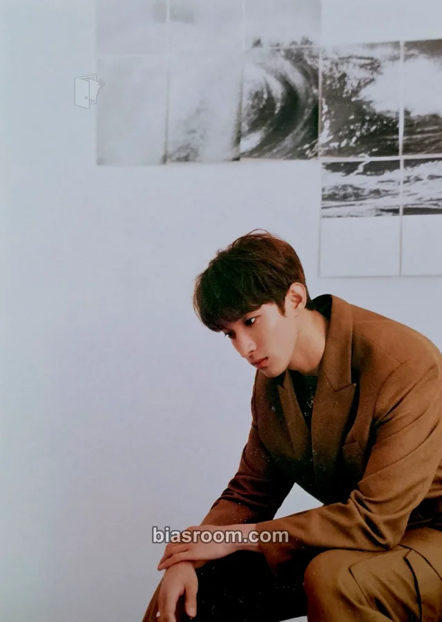 DK SEVENTEEN An Ode K-pop Photocard