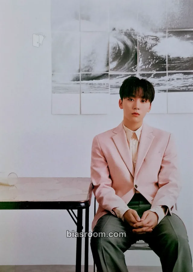 Seungkwan SEVENTEEN An Ode K-pop Photocard