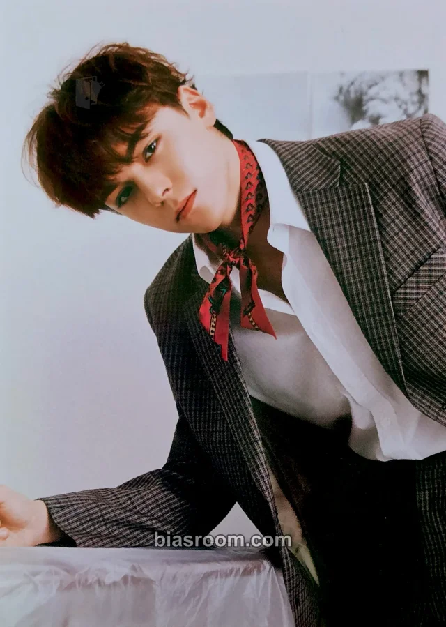 Vernon SEVENTEEN An Ode K-pop Photocard