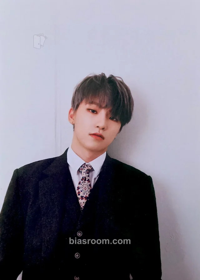 Dino SEVENTEEN An Ode K-pop Photocard