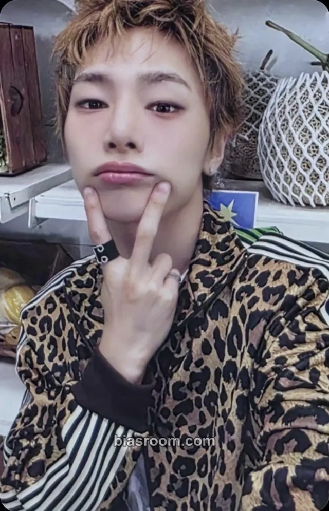 I.N Stray Kids Odd & Fresh Pop-Up Store K-pop photocard