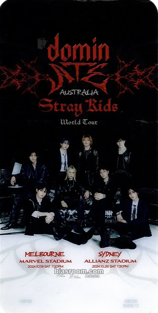 Stray Kids DominATE World Tour K-pop photocard