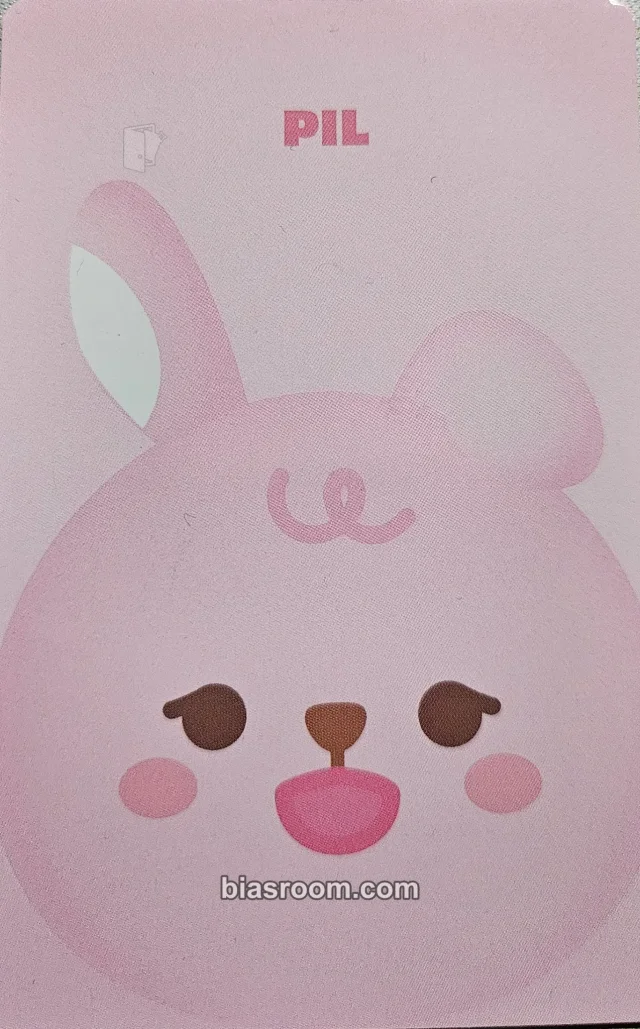Wonpil DAY6 2023 Christmas Special Concert 'The Present : You are My Day' K-pop photocard