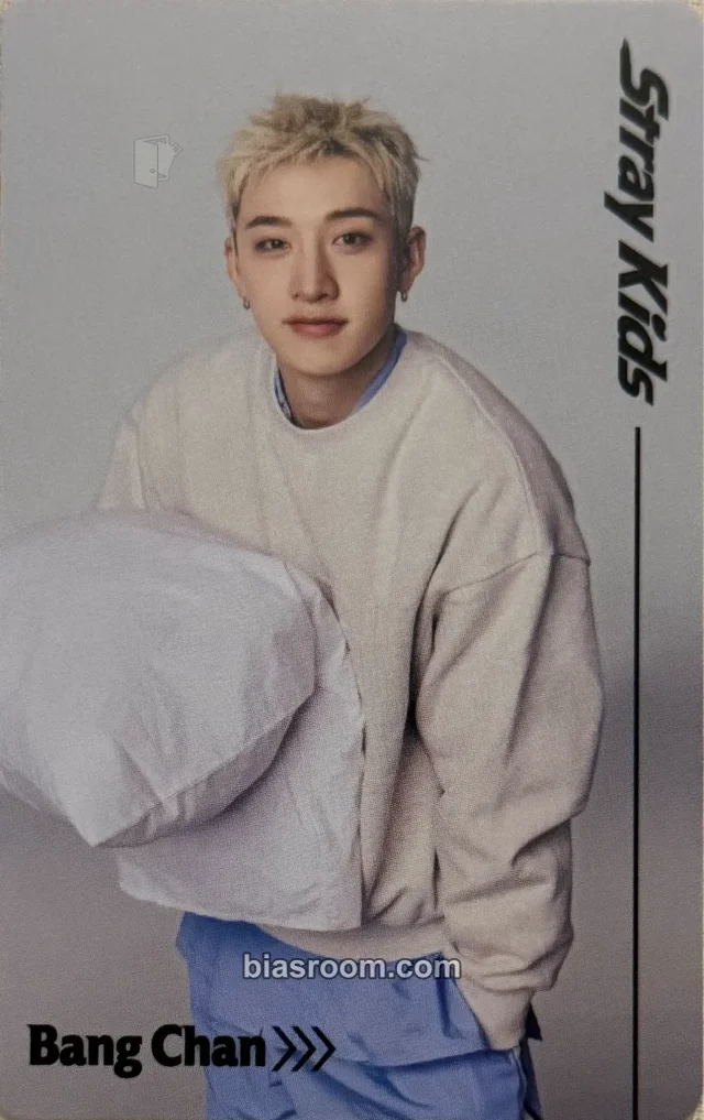 Bang Chan Stray Kids RUN IT World Tour K-pop Photocard