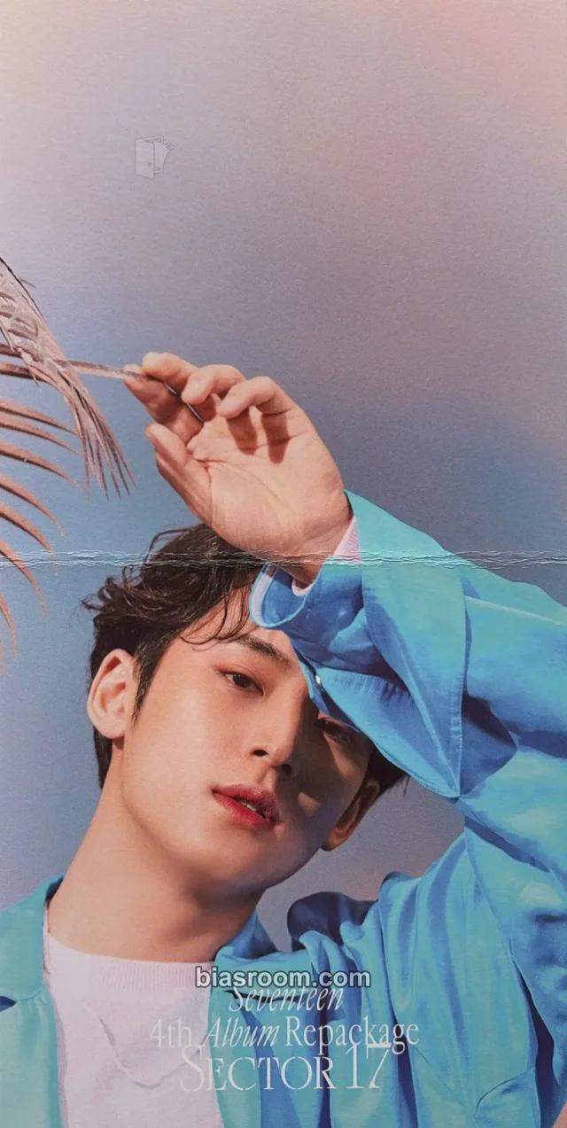 Mingyu SEVENTEEN SECTOR 17 K-pop photocard