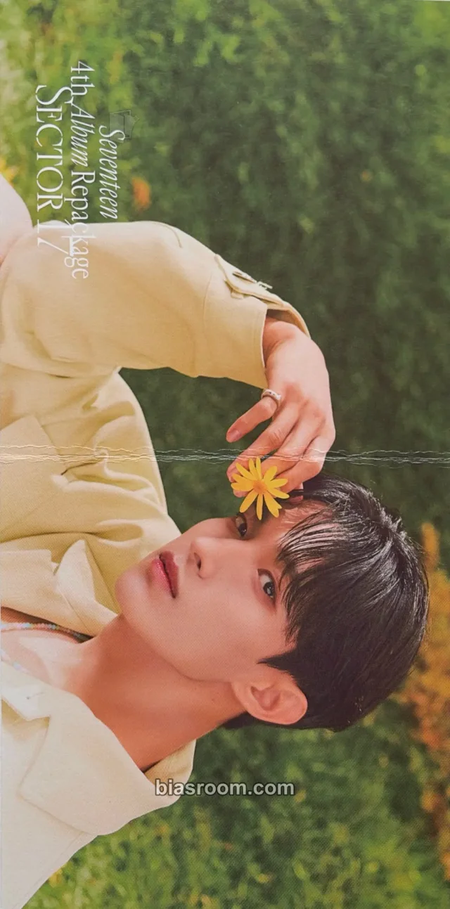 DK SEVENTEEN SECTOR 17 K-pop photocard