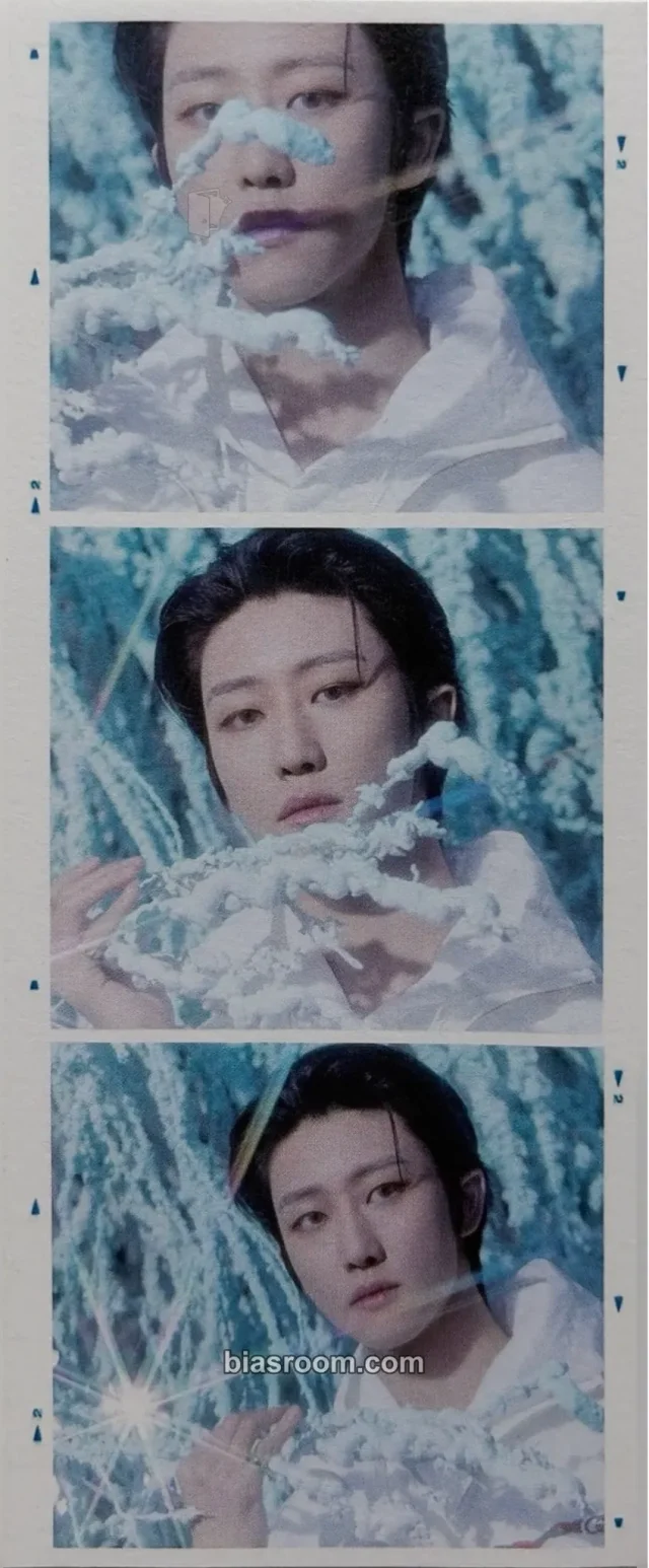 Photocard K-pop The8 SEVENTEEN SECTOR 17