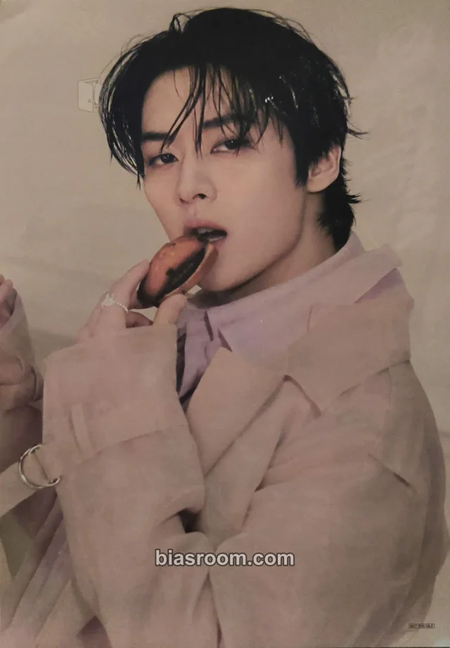 Lee Know Stray Kids Hollow K-pop photocard