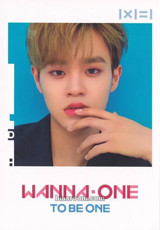 Daehwi Wanna One Premier Show-Con K-pop photocard