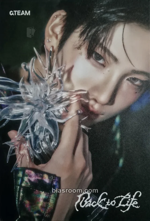 Photocard K-pop Yuma &TEAM Back to Life 