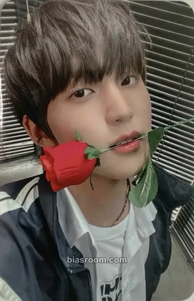 Hwi TNX LOVE NEVER DIES K-pop photocard