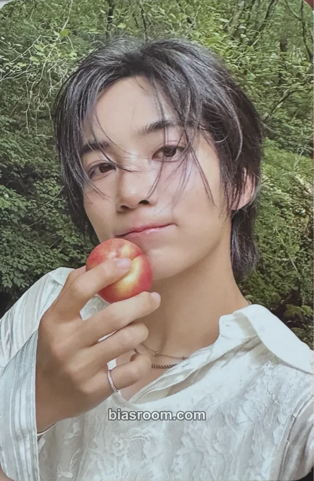 Jeonghan SEVENTEEN Dreamscape K-pop photocard