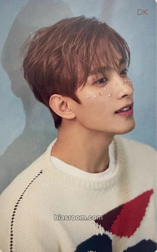 DK SEVENTEEN Fallin' Flower K-pop photocard