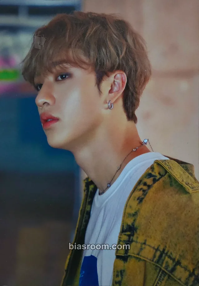 Bang Chan Stray Kids District 9 : Unlock World Tour K-pop photocard