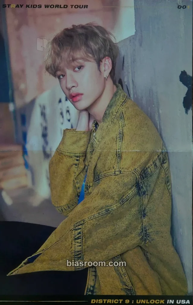 Bang Chan Stray Kids District 9 : Unlock World Tour K-pop photocard