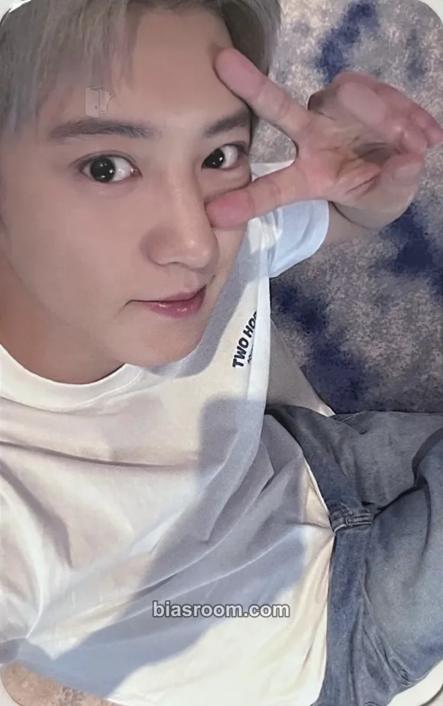 Chanyeol EXO REVERXE K-pop 포토카드