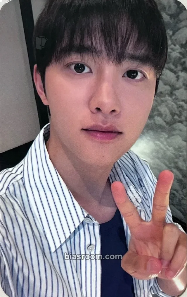 D.O. EXO REVERXE K-pop 포토카드