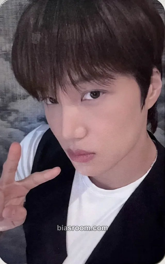 Kai EXO REVERXE K-pop 포토카드