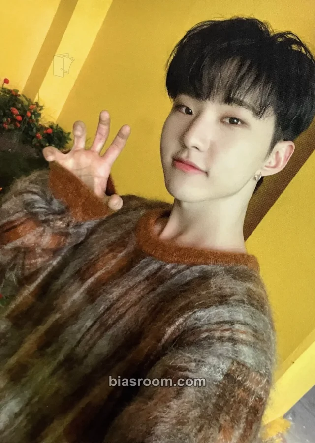 Hoshi SEVENTEEN Power of Love K-pop photocard