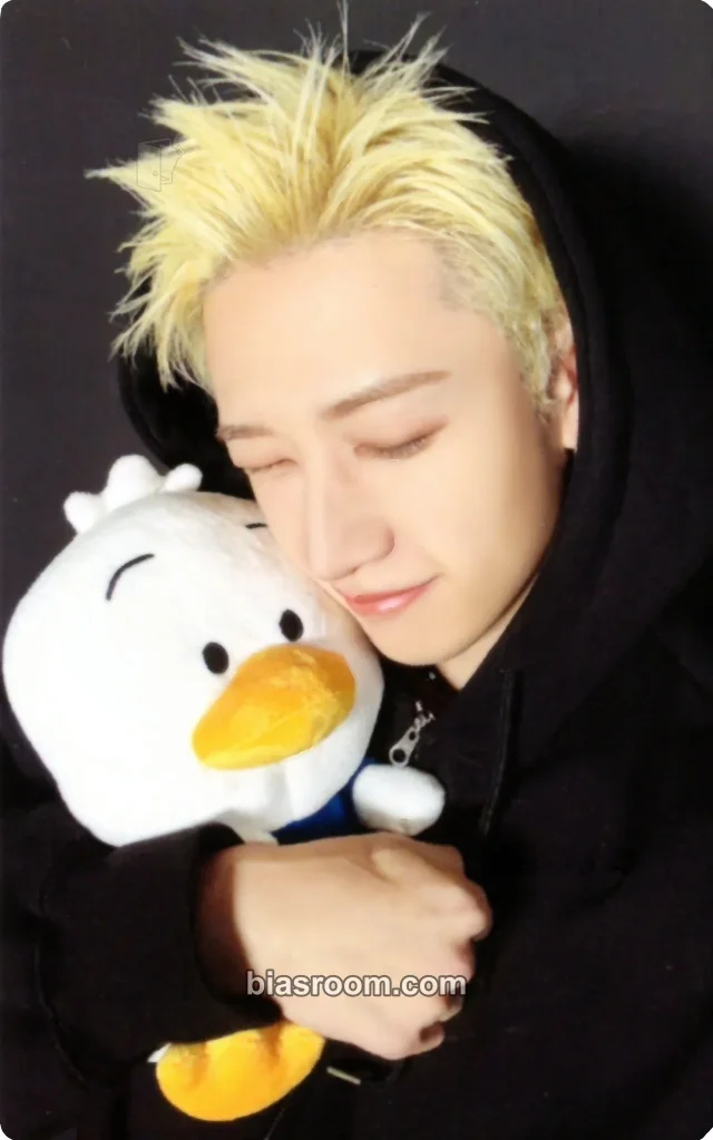 Bang Chan Stray Kids Sanrio Characters × SKZOO K-pop photocard