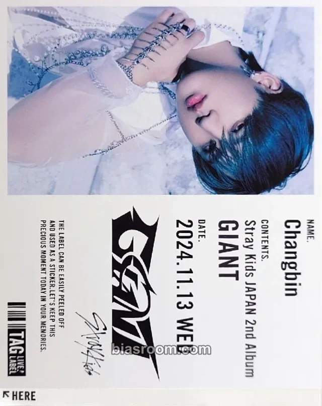 Photocard K-pop Changbin Stray Kids GIANT