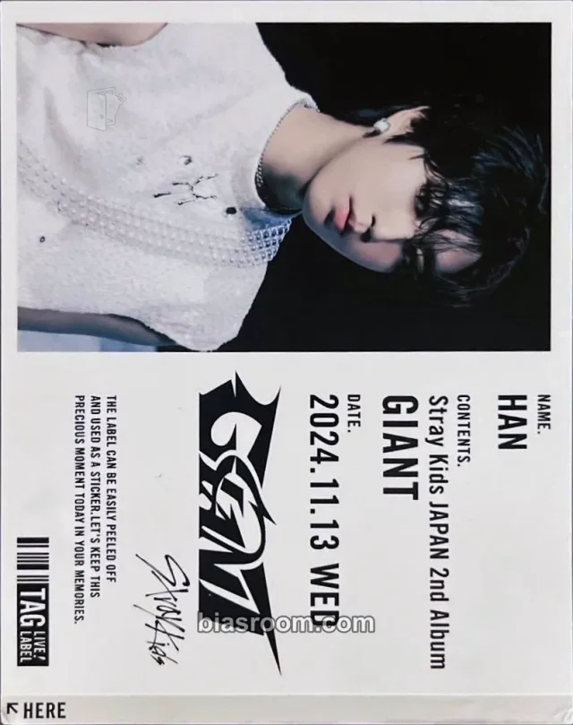 HAN Stray Kids GIANT K-pop photocard