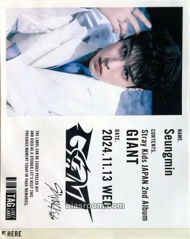 Seungmin Stray Kids GIANT K-pop Photocard