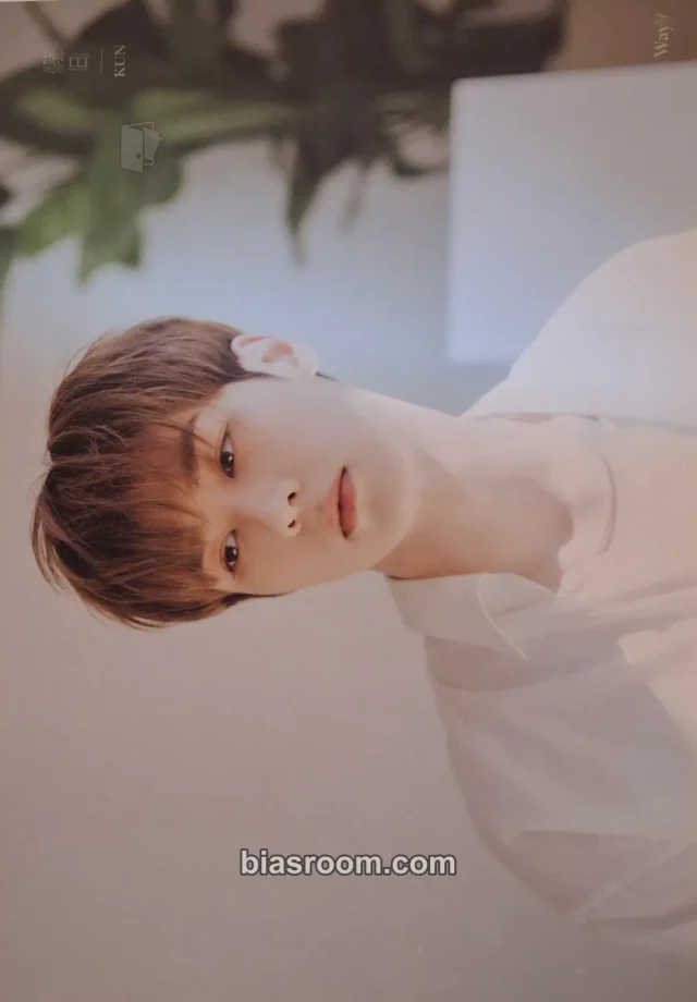 Kun WayV Holiday [photobook] K-pop photocard