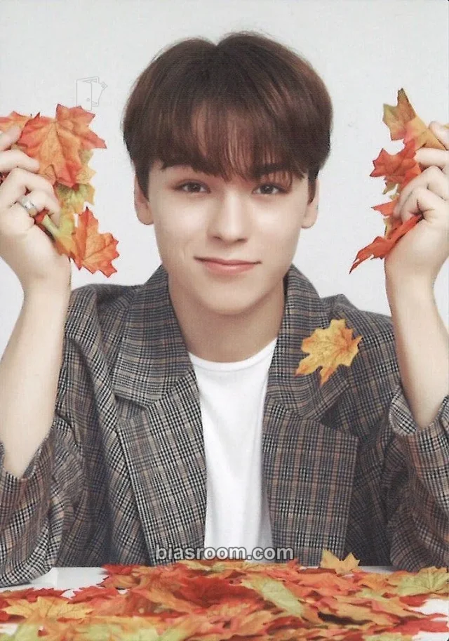 Vernon SEVENTEEN [ODE TO YOU] TOUR K-pop photocard