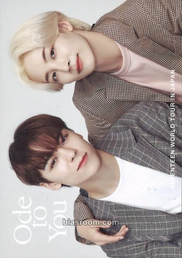 SEVENTEEN [ODE TO YOU] TOUR K-pop photocard