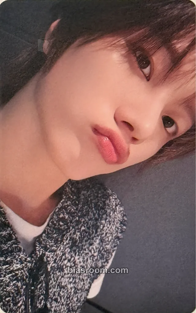 Sungho BOYNEXTDOOR If I Say, I Love You K-pop photocard