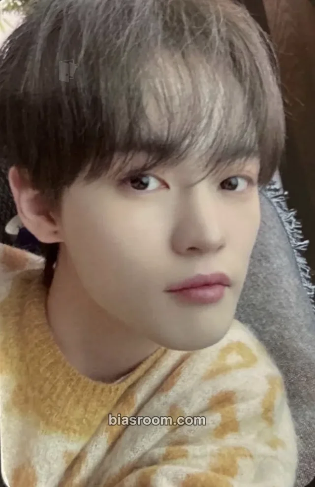 Chenle NCT DREAM Dream()scape K-pop photocard
