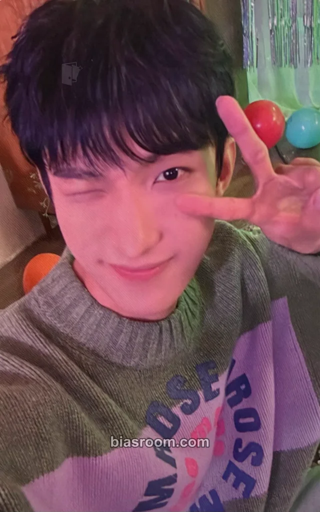 DK SEVENTEEN [RIGHT HERE] WORLD TOUR K-pop photocard