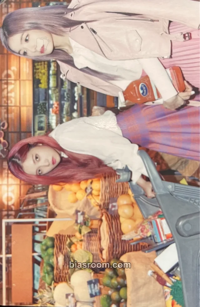 Red Velvet 2017 Season's Greetings K-pop photocard
