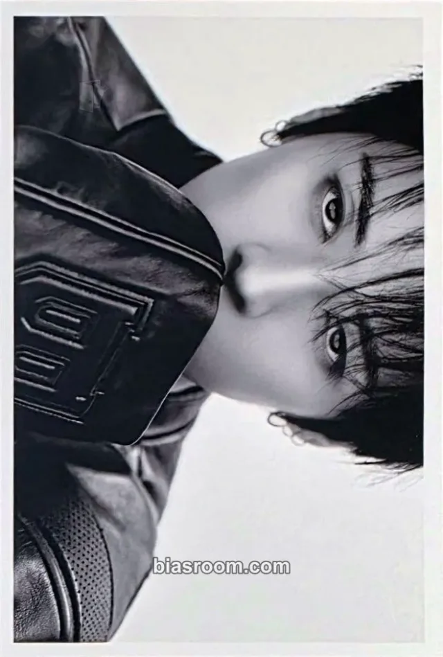 Lee Know Stray Kids D’FESTA THE ORIGIN K-pop photocard