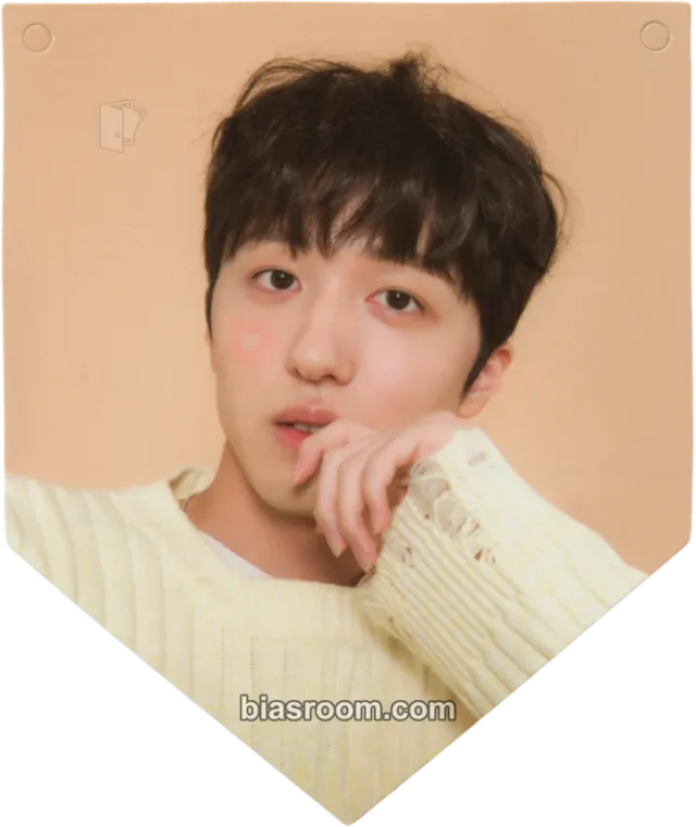 Chani SF9 7TH FANCLUB K-pop photocard