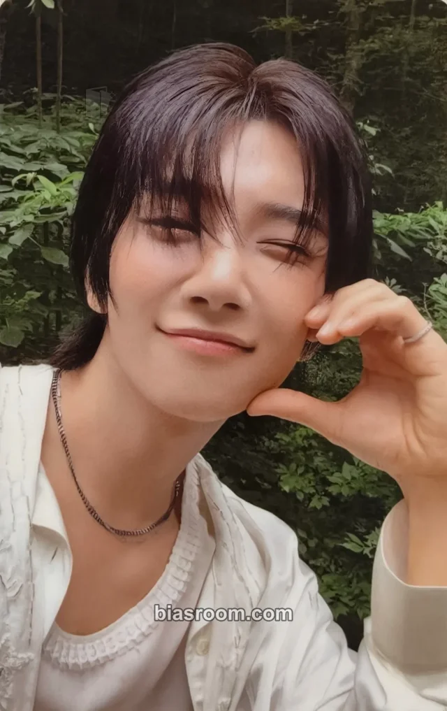 Joshua SEVENTEEN Dreamscape K-pop photocard