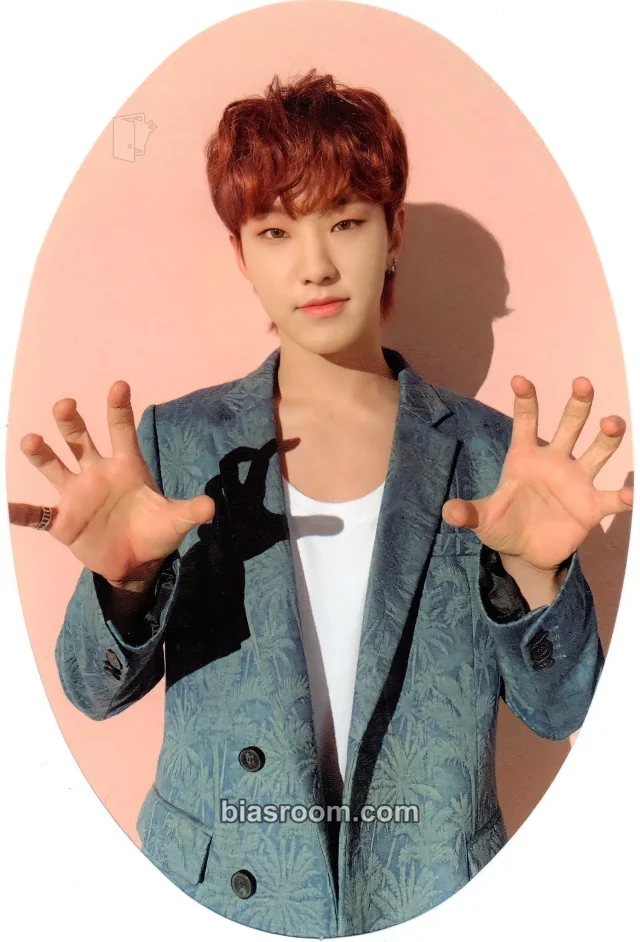 Hoshi SEVENTEEN Semicolon K-pop photocard