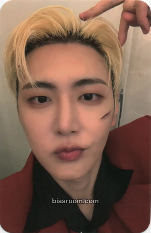 Jaeyoon SF9 2025 LIVE FANTASY #5 LOVE DAWN K-pop photocard