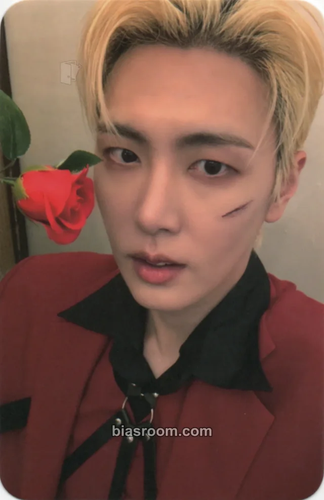 Jaeyoon SF9 2025 LIVE FANTASY #5 LOVE DAWN K-pop photocard