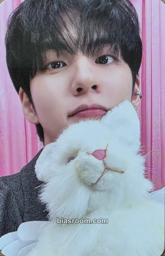 Wonpil DAY6 Day6 5th Fanmeeting - Every Day6 Every My Day K-pop photocard