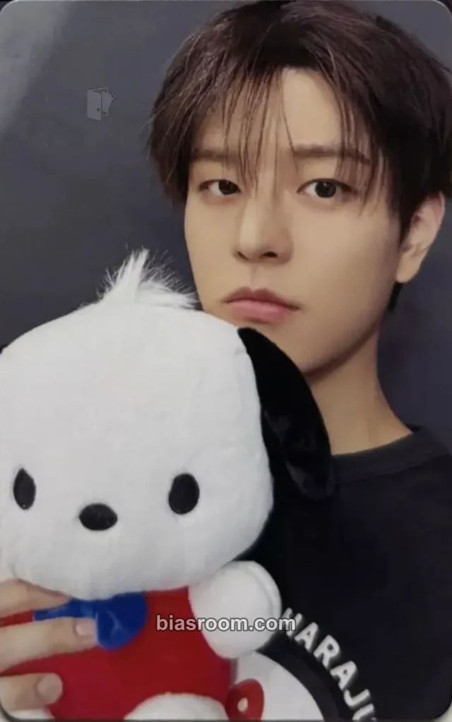 Seungmin Stray Kids Sanrio Characters × SKZOO K-pop photocard