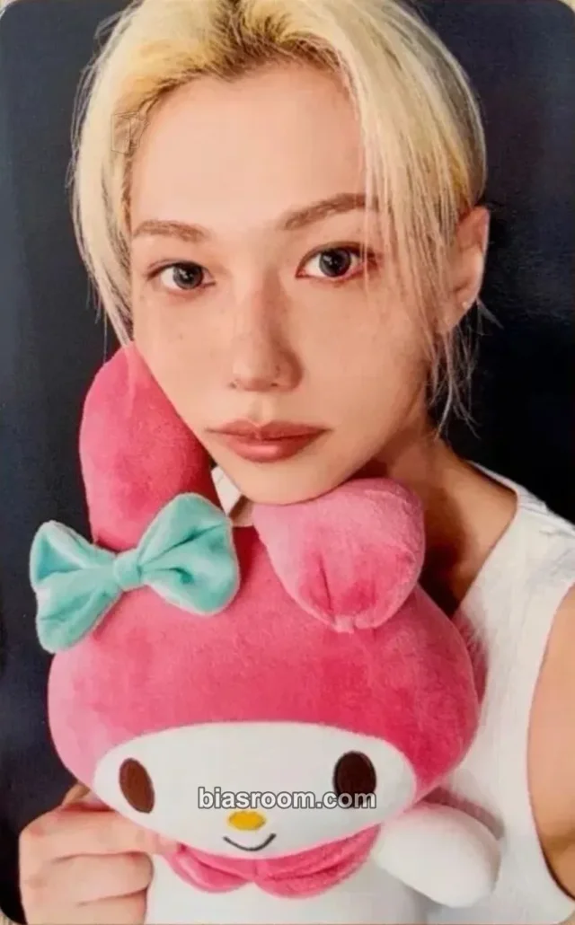 Felix Stray Kids Sanrio Characters × SKZOO K-pop photocard
