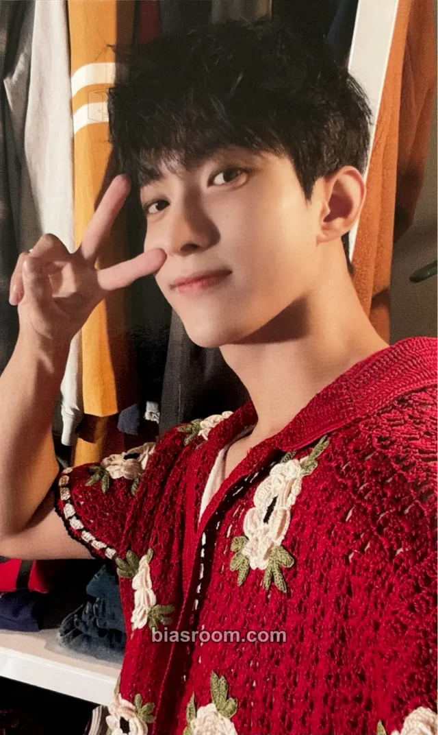 DK SEVENTEEN Seventeenth Heaven K-pop photocard