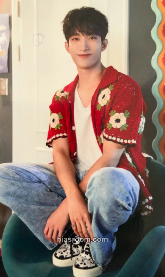 DK SEVENTEEN Seventeenth Heaven K-pop photocard
