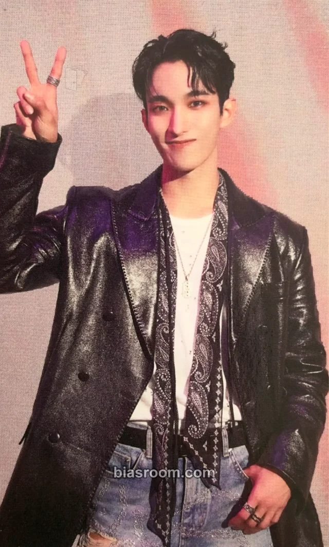 DK SEVENTEEN Seventeenth Heaven K-pop photocard