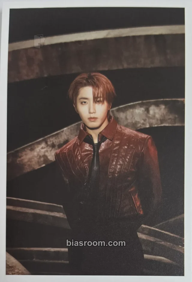 HAN Stray Kids D’FESTA THE ORIGIN K-pop photocard