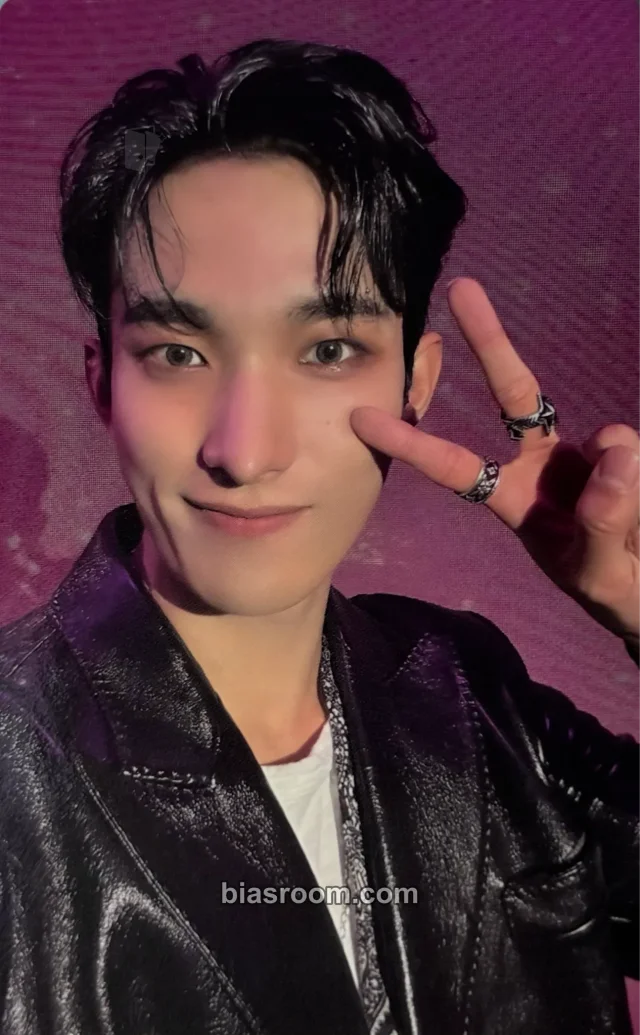 DK SEVENTEEN Seventeenth Heaven K-pop photocard