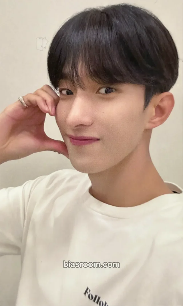 DK SEVENTEEN Seventeenth Heaven K-pop photocard