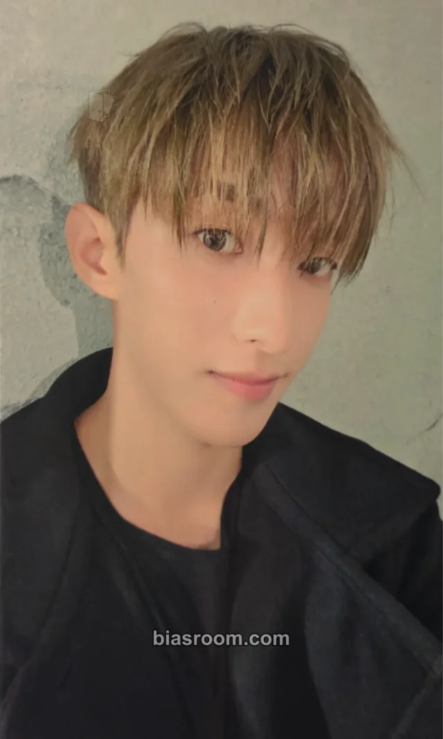 DK SEVENTEEN Serenade K-pop photocard
